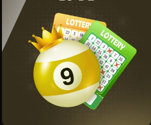 talkSPORT：图赫尔预计将在3月征召贝林厄姆，马奎尔也可能回归